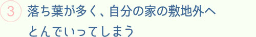 落ち葉が多く、自分の家の敷地外へとんでいってしまう