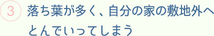 落ち葉が多く、自分の家の敷地外へとんでいってしまう