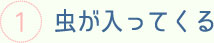 虫が入ってくる